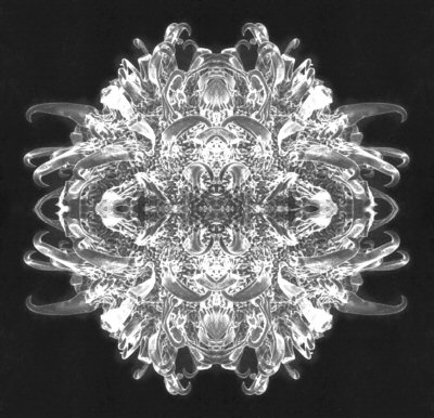 The Shadow That Became a Mirror by Bill Wolak