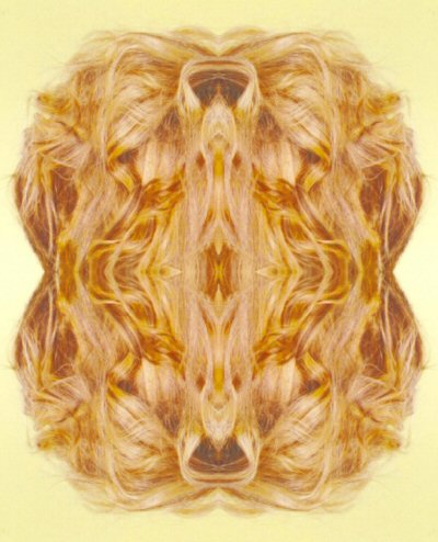 Artwork: Fleeting as the Dream of Honey by Bill Wolak